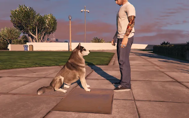 Companion Pets FiveM script screenshot 2 — pets ui husky