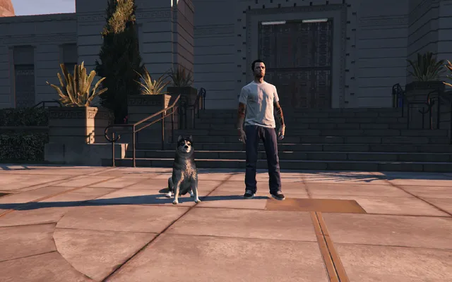 Companion Pets FiveM script screenshot 7 — pets ui observatory