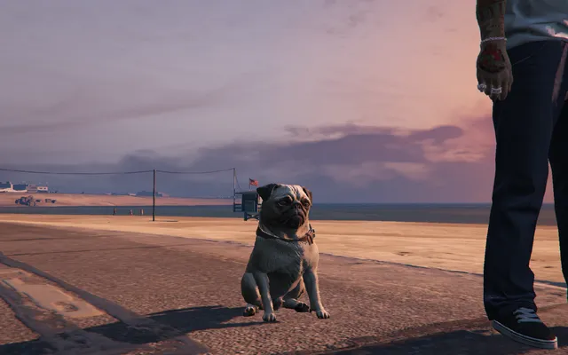 Companion Pets FiveM script screenshot 5 — pets ui sit